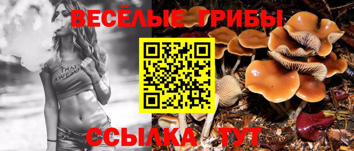 Псилоцибиновые грибы Magic Shrooms Назарово